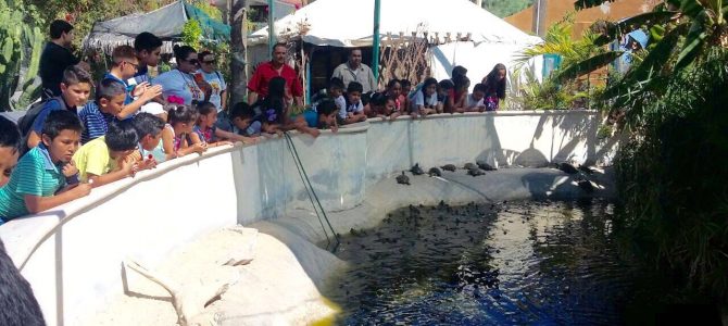 Convivencia Infantil de Verano 2016 #Día8 Convivencia Infantil de Verano 2016 #Día8