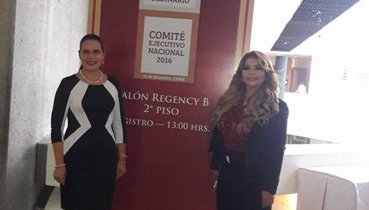 Pleno Nacional  Comité Ejecutivo Nacional Cd. de México