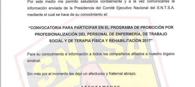 Profesionalización 2017