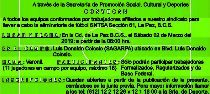 Torneo De Fútbol Eliminatoria Municipal La Paz BCS