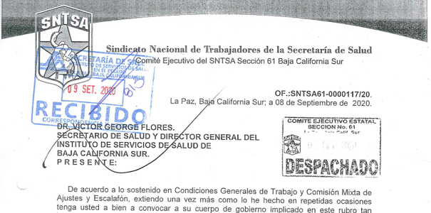 Proceso Escalafonario y Concepto 30 Proceso Escalafonario y Concepto 30