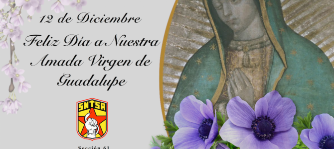 Día de la Virgen de Guadalupe Día de la Virgen de Guadalupe