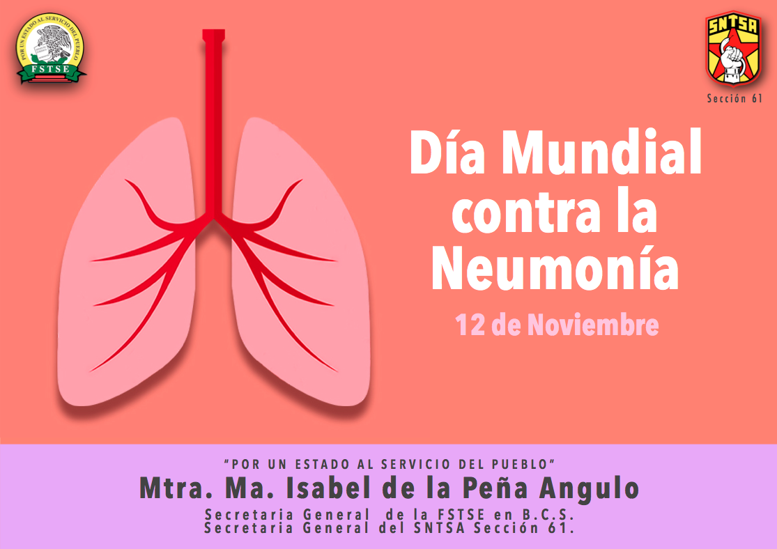 Día Mundial Contra la Neunonía